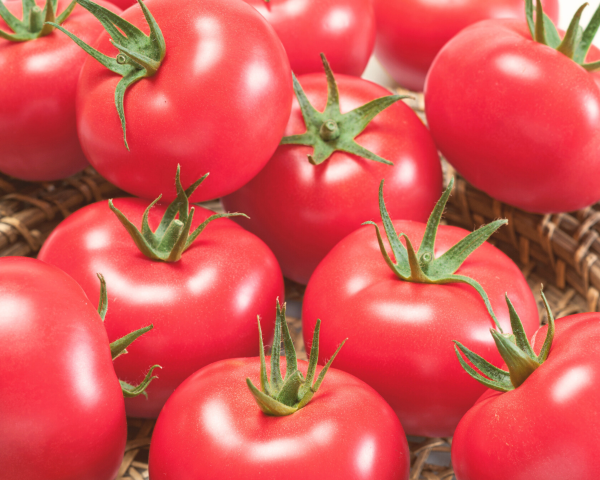 Porter Tomato Seeds Online