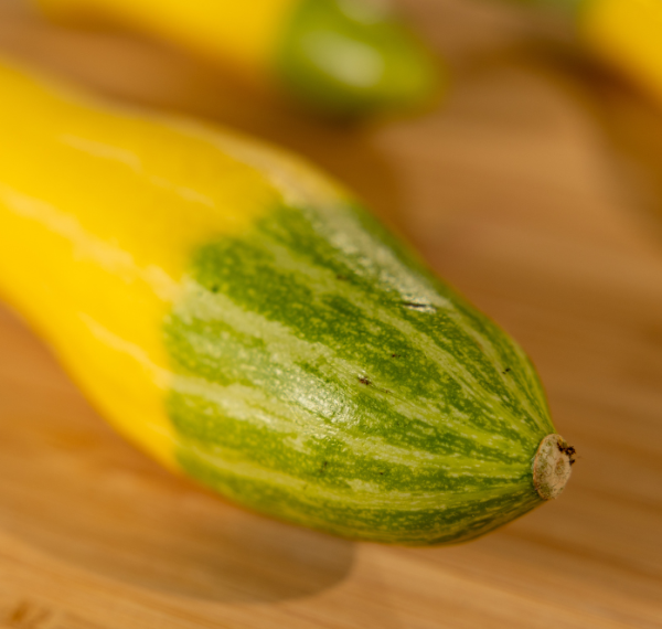 Zephyr Hybrid Summer Squash Seeds Hot on Sale - Image 2