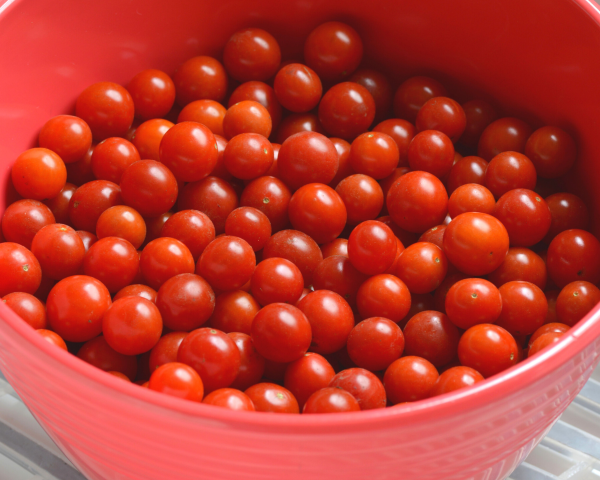 Candyland Red Tomato Seeds Online - Image 2
