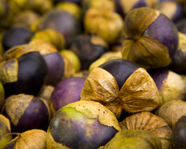 Purple Tomatillo Seeds Sale - Image 2
