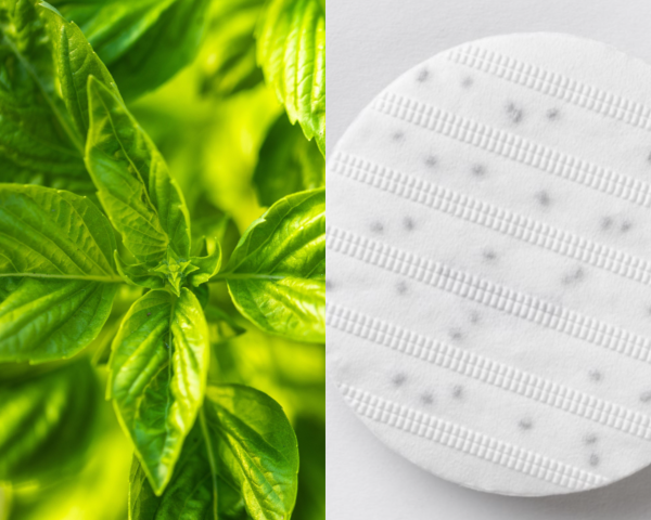 Basil Seed Disc Supply