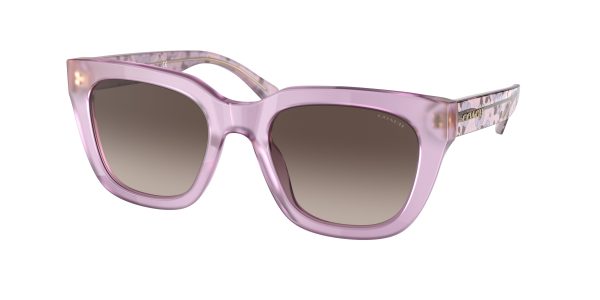 Coach C3503 HC8318F Square Sunglasses Online Sale - Image 4