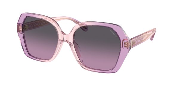 Coach CR615 HC8404U Irregular Sunglasses Online Sale - Image 3