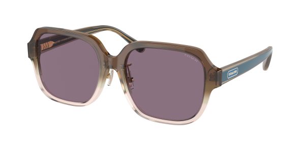 Coach C7990 HC8335F Rectangle Sunglasses Online - Image 2